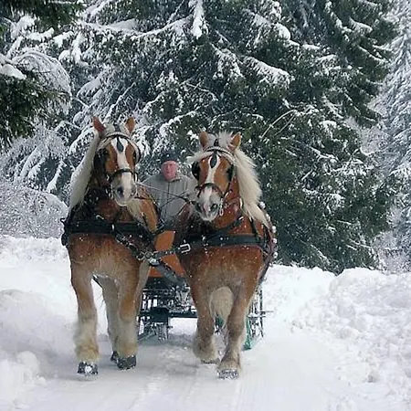 Ginsberger Heide 힐헨바흐