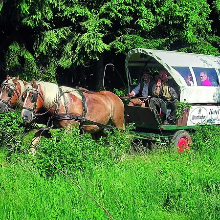 여관 Ginsberger Heide 2*