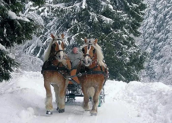 Ginsberger Heide Hilchenbach