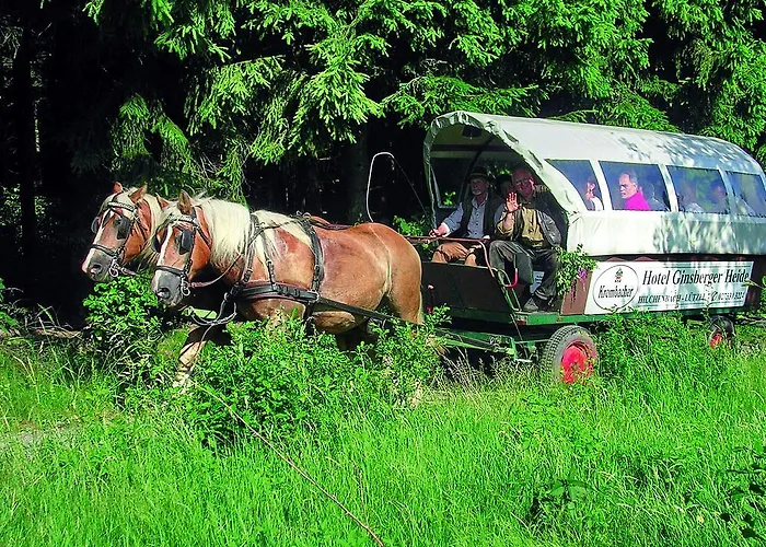 Inn Ginsberger Heide 2*